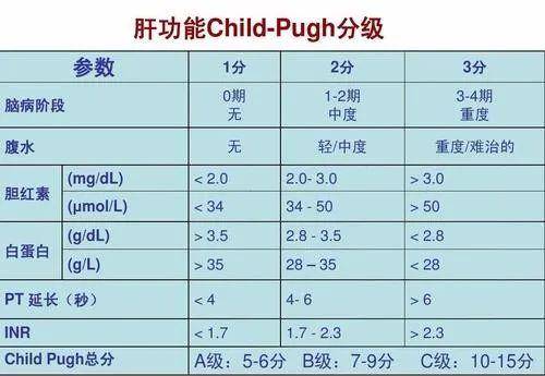 关于我们 第209页